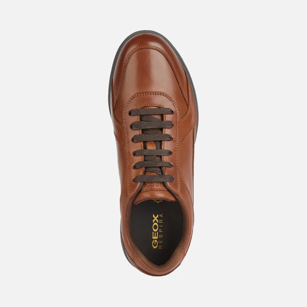 SPHERICA EC12 MAN